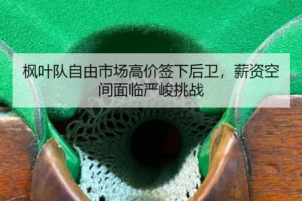 feng-ye-dui-zi-you-shi-chang-gao-jia-qian-xia-hou-wei-xin-zi-kong-jian-mian-lin-yan-jun-tiao-zhan-3-317.jpg